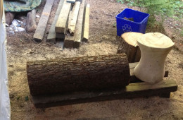 Shaping Logs