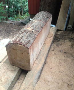 Log bench taking shape